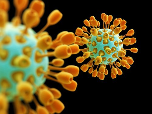 Imaginea articolului Cercetătorii au descoperit un virus care nu are nicio genă ce poate fi identificată
