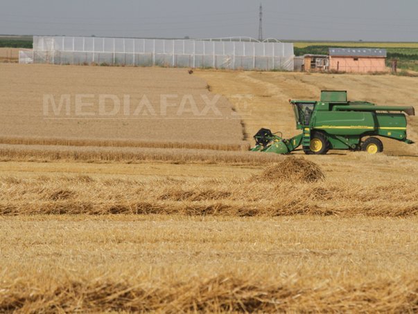 Imaginea articolului Proiecte agricole de 400 milioane de euro, ratate pentru că băncile nu au acordat credite pentru cofinanţare