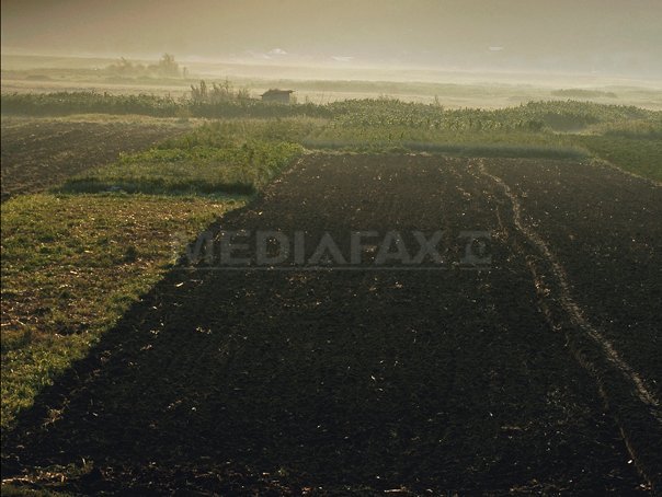Imaginea articolului Guvernul introduce plăţi stimulative diferite pentru fermieri, în scopul comasării terenurilor