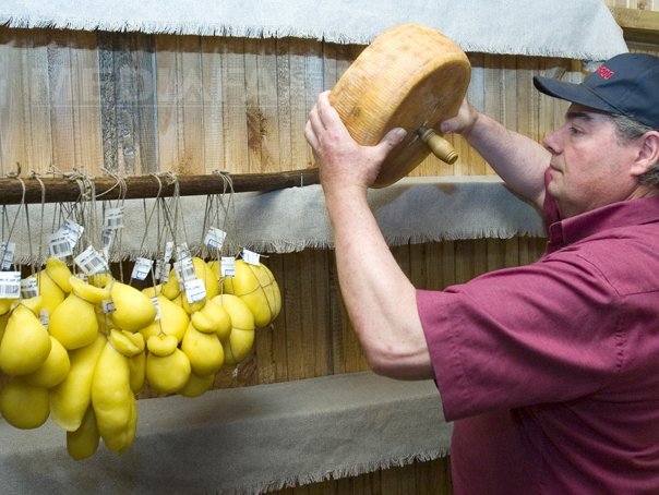 Imaginea articolului SCANDAL în Statele Unite: Ce se găseşte de fapt în brânzeturile rase, care se vând ca "100 % parmezan"