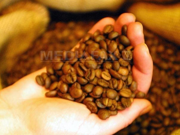 Imaginea articolului Cafeaua s-ar putea ieftini. Ultimele previziuni arată o creştere semnificativă a producţiei
