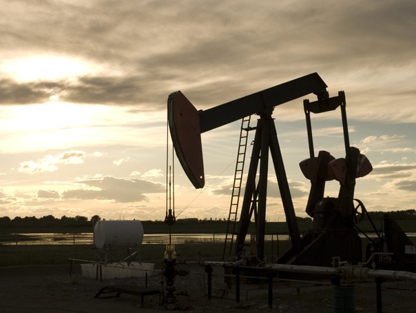 Imaginea articolului Preţul petrolului atinge 95 de dolari pe baril