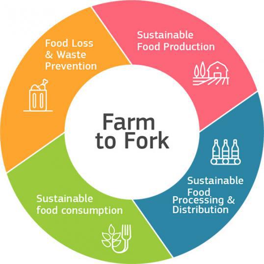 Imaginea articolului Tendinţe în industria alimentară şi în agrobusiness în 2024.„Farm to fork“ devine emblema industriei