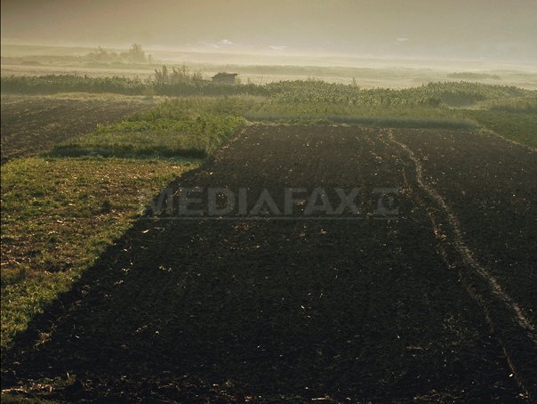 Imaginea articolului Ministrul Agriculturii către fermieri: Nu vindeţi terenurile oricui şi cu oricât pentru că sunt valoroase