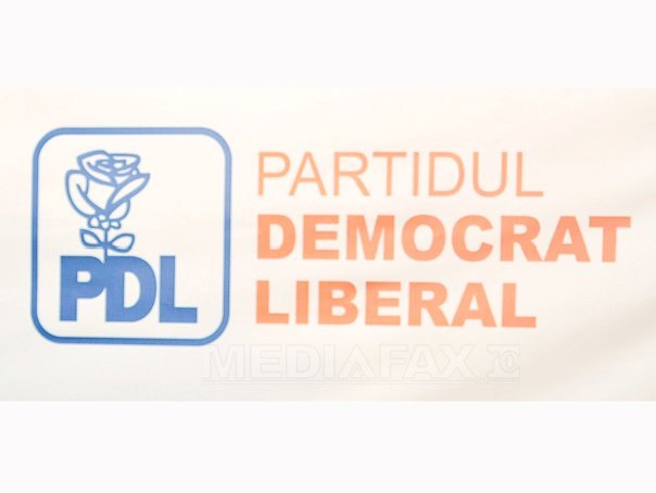 Imaginea articolului Zece organizaţii locale ale PDL, dizolvate