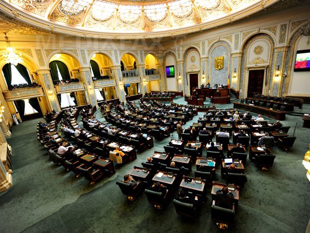 Imaginea articolului Senat: Propunere ca parlamentarii să fie supliniţi, cu drept de vot, de colegi de grup, la comisii