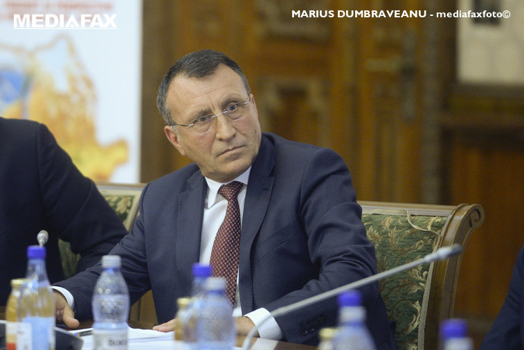 Imaginea articolului Vicepremierul Paul Stănescu: Nu se impunea demisia ministrului Carmen Dan de la şefia MAI. Ce spun lideri ai organizaţiilor PSD