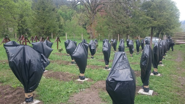 Imaginea articolului Băsescu, despre incidentul de la cimitirul eroilor din Valea Uzului: Arată primitivism. Extremiştii maghiari au întrecut orice măsură