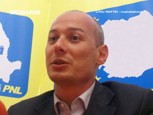 Olteanu: Mi-aş dori foarte tare ca Băsescu să se ocupe de minciunile domniei sale (Imagine: Mediafax Foto)