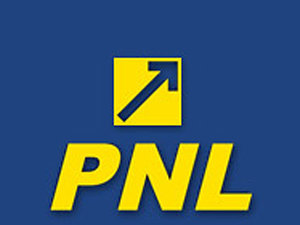 PNL şi-a anunţat o parte dintre candidaţii pentru alegerile parlamentare