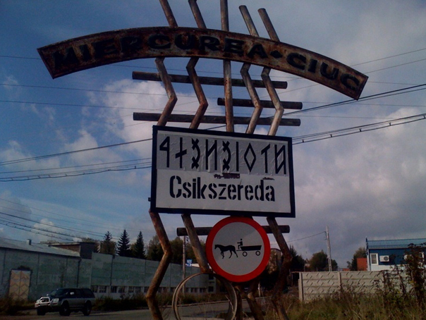 Imaginea articolului Olguţa Vasilescu cere îndepărtarea unui indicator "ilegal" de la intrarea în Miercurea Ciuc
