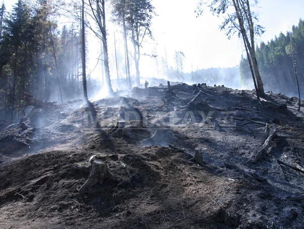 Imaginea articolului Vâlcea: Incendiu la pădurea din jurul releului Cozia