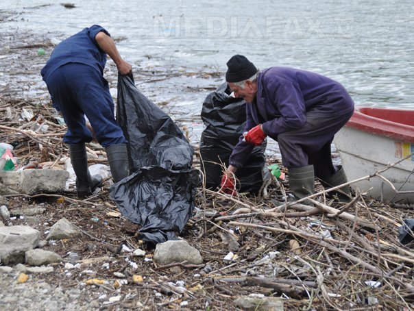 Imaginea articolului Tone de gunoi aduse de viituri pe Dunăre, la Orşova - FOTO