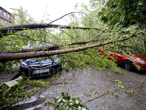 Imaginea articolului Arad: Un bărbat a murit după ce un copac s-a prăbuşit peste maşina sa, în timpul unei furtuni. Arădeanul era şef în cadrul DSVSA Arad