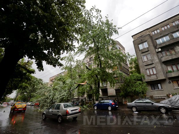 Imaginea articolului Arad: O furtună a rupt copaci, a avariat maşini şi a lăsat 48 de localităţi fără electricitate