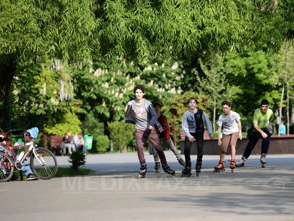 Imaginea articolului Marioara Micşunescu nu obţine în instanţă avizul de defrişare în Parcul Tineretului