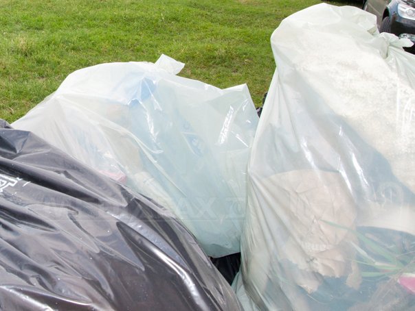 Imaginea articolului Constanţa: Peste 500 de saci cu gunoi, adunaţi din Parcul Tăbăcărie de către militari americani