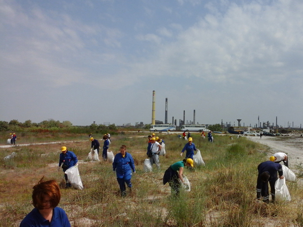 Imaginea articolului Angajaţii de pe platforma Petromidia au strâns peste o tonă de deşeuri de pe plaja Năvodari - FOTO
