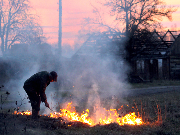 Imaginea articolului Ministerul Mediului: România, neafectată de incendiile de vegetaţie din zona Cernobîl