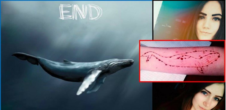 Imaginea articolului Cine este tânărul care a INVENTAT jocul mortal Balena Albastră: ”Curăţ societatea de scursuri umane” 