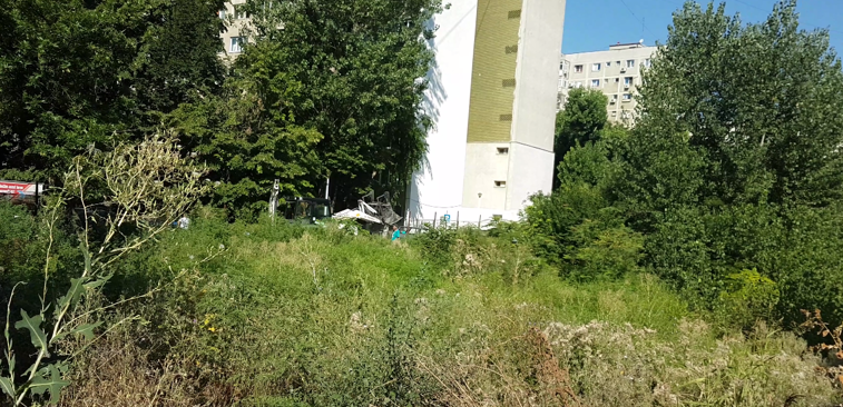 Imaginea articolului Zonă abandonată, în apropiere de centrul Capitalei. Locuitor: Numai balaurii nu au ieşit de acolo