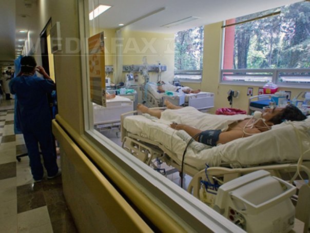 Imaginea articolului Noi cazuri de infecţii cu West Nile, identificate în România. Numărul deceselor se ridică la opt