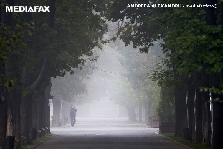 Imaginea articolului ALERTĂ METEO | Cod galben de ceaţă şi vânt în mai multe judeţe din România. Circulaţia se desfăşoară în condiţii de ceaţă densă pe A2 