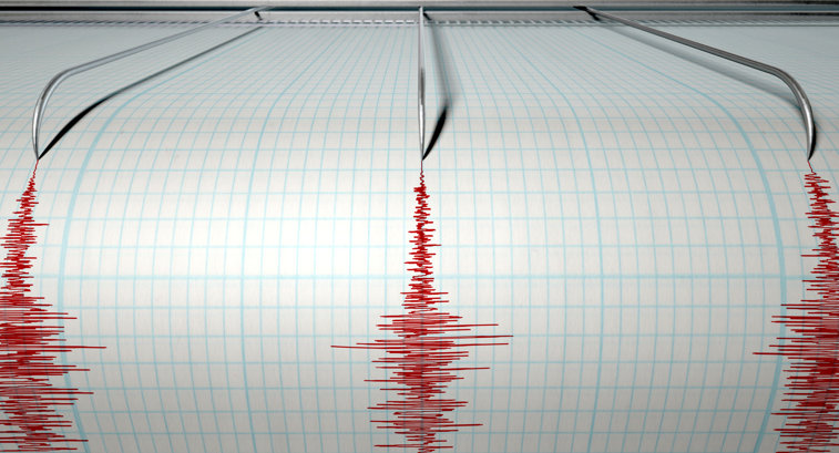 Imaginea articolului Cutremur cu magnitudinea 3,9 pe scara Richter în Marea Neagră