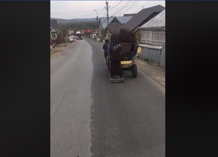 Imaginea articolului Imagini SCANDALOASE filmate într-un sat din Suceava: O femeie folosită pe post de frână la căruţă | VIDEO