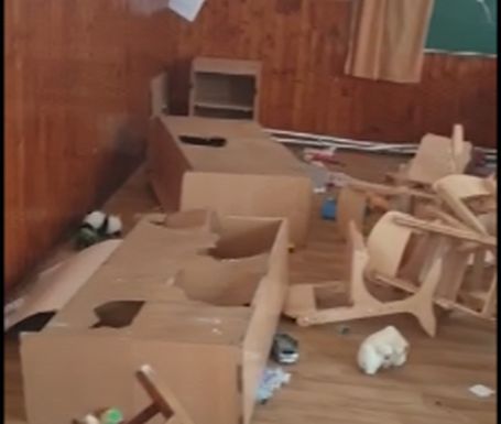 Imaginea articolului Psiholog despre cazul vandalizării Şcolii din Clejani: Aceşti copii ar avea profil de viitor psihopat