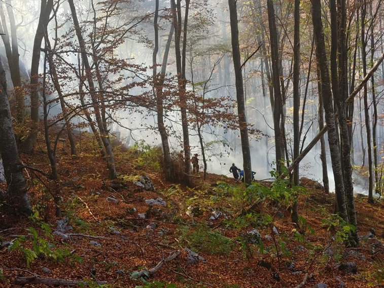Imaginea articolului Incendii de vegetaţie în Hunedoara: Peste 15 hectare de pădure au fost afectate - FOTO