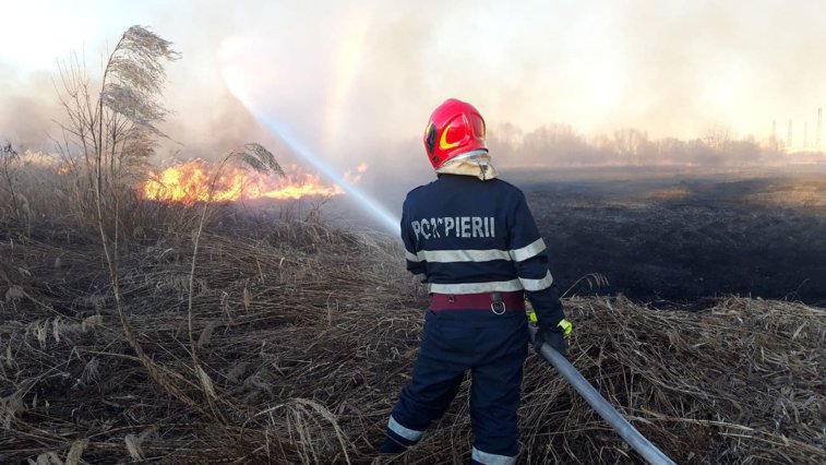 Imaginea articolului VIDEO, FOTO | Incendiu în Delta Văcăreşti: ard circa 30.000 de metri pătraţi. Numărul pompierilor care acţionează la incendiul din Delta Văcăreşti a fost suplimentat