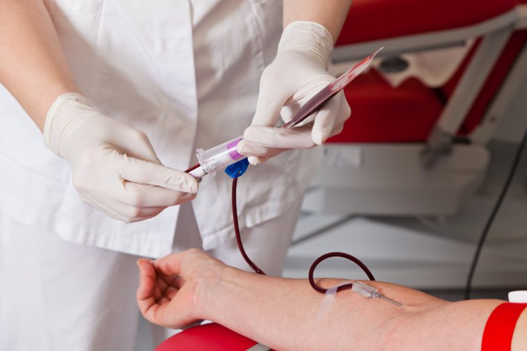 Imaginea articolului Peste 1.450 de persoane au donat sânge în campania iniţiată de UNTOLD şi Neversea