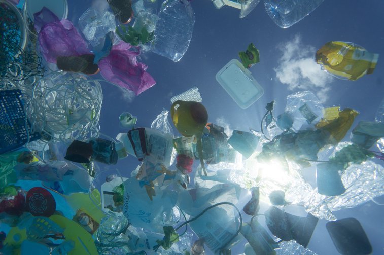 Imaginea articolului Viaţa marină este ameninţată de poluarea cu plastic. Microparticulele ajung din apa Mării Negre în farfuriile oamenilor
