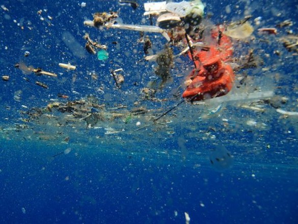 Imaginea articolului „Smogul de plastic” plutitor sufocă oceanele. Ce arată datele colectate timp de 40 de ani

