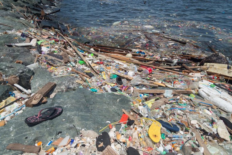 Imaginea articolului Sănătatea umană nu poate exista fără oceane sănătoase - raport îngrijorător despre efectele microplasticelor 