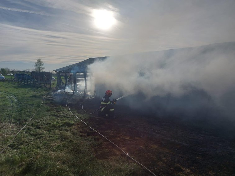 Imaginea articolului Incendiu la două adăposturi de animale dintr-o localitate din Arad