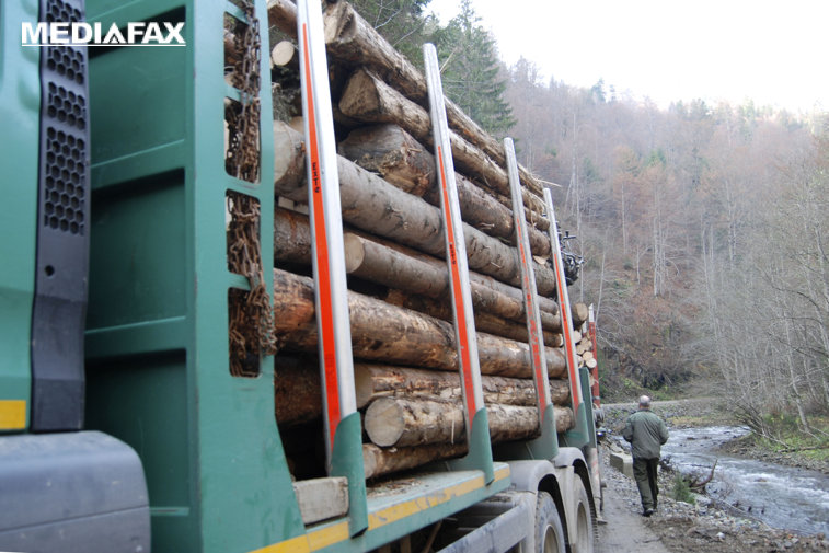 Imaginea articolului USR avertizează asupra renunţării la confiscarea vehiculelor care transportă ilegal lemne