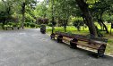Imaginea articolului Nicuşor Dan: Schimbăm mobilierul urban din Parcul Cişmigiu