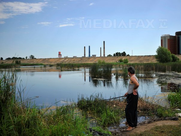 Sticky wrist delete Lacul Văcăreşti va fi declarat arie protejată. Cum arată Delta Capitalei -  FOTO