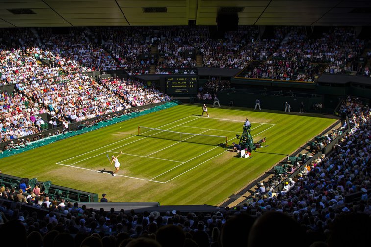 Imaginea articolului Ce sumă vor încasa organizatorii turneului de la Wimbledon, după anularea evenimentului 