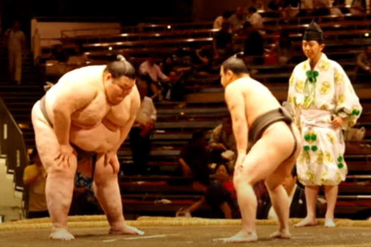 Imaginea articolului Orora, luptătorul de sumo de 292 de kilograme, are oroare de coronavirus