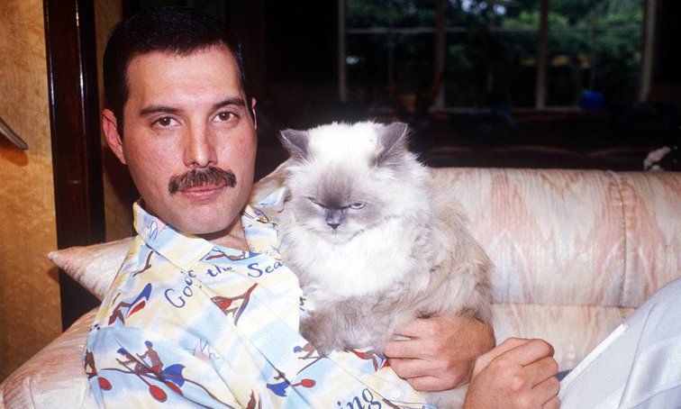 Imaginea articolului Lansarea filmului Bohemian Rhapsody. Freddie Mercury: 10 lucruri mai puţin ştiute despre fostul mare solist al trupei Queen