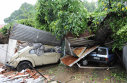 Imaginea articolului Bilanţul în urma ploilor abundente din Brazilia a ajuns la 100 de morţi