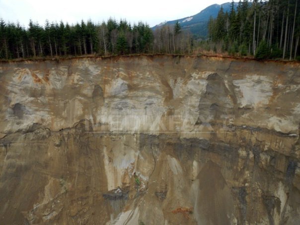 Imaginea articolului Bilanţul alunecării de teren din statul american Washington a ajuns la 29 de morţi