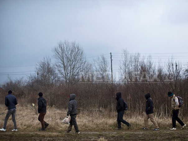 Imaginea articolului Ungaria vrea să construiască un gard la graniţa cu Serbia pentru combaterea imigraţiei ilegale