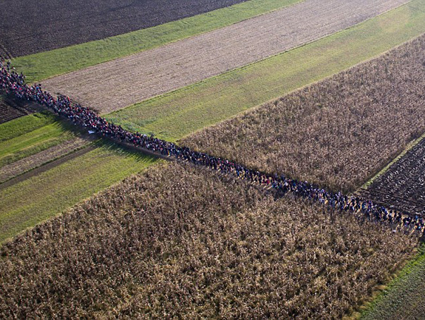 Imaginea articolului DRAMA refugiaţilor în imagini: Mii de imigranţi folosesc noua rută din Balcani în drumul spre Austria şi Germania - FOTO, VIDEO