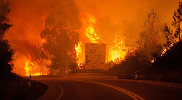 Imaginea articolului Cel puţin 60 de persoane au murit în urma unui devastator incendiu de pădure în Portugalia. Guvernul a decretat trei zile de doliu naţional