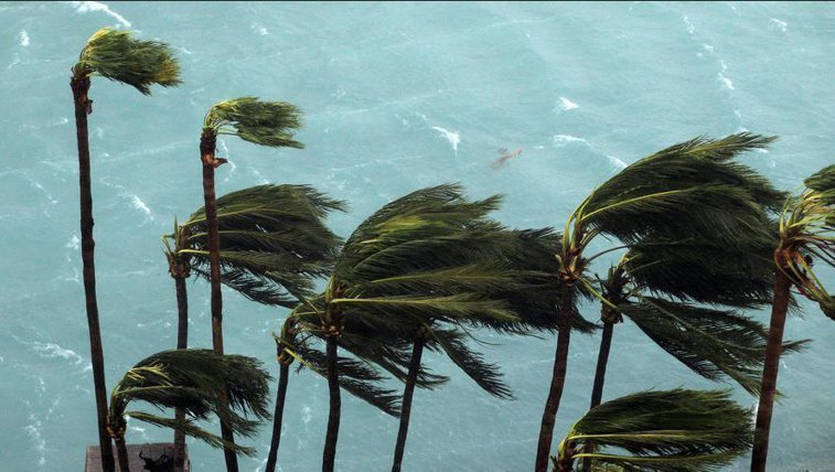 Imaginea articolului Trump declară starea de urgenţă: uraganul Irma devine una dintre cele mai mari furtuni înregistrate vreodată în Atlantic /  Meteorologii vorbesc despre "daune catastrofice"