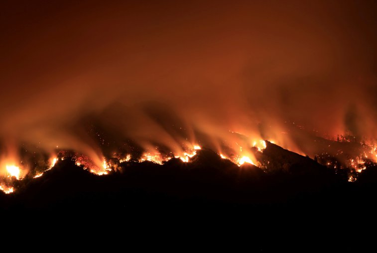 Imaginea articolului VIDEO | Evacuări în masă, în statul California, în urma unui incendiu masiv
